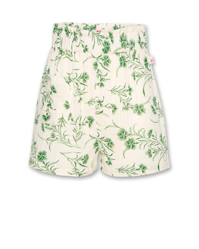 Lou Green Shorts - Green