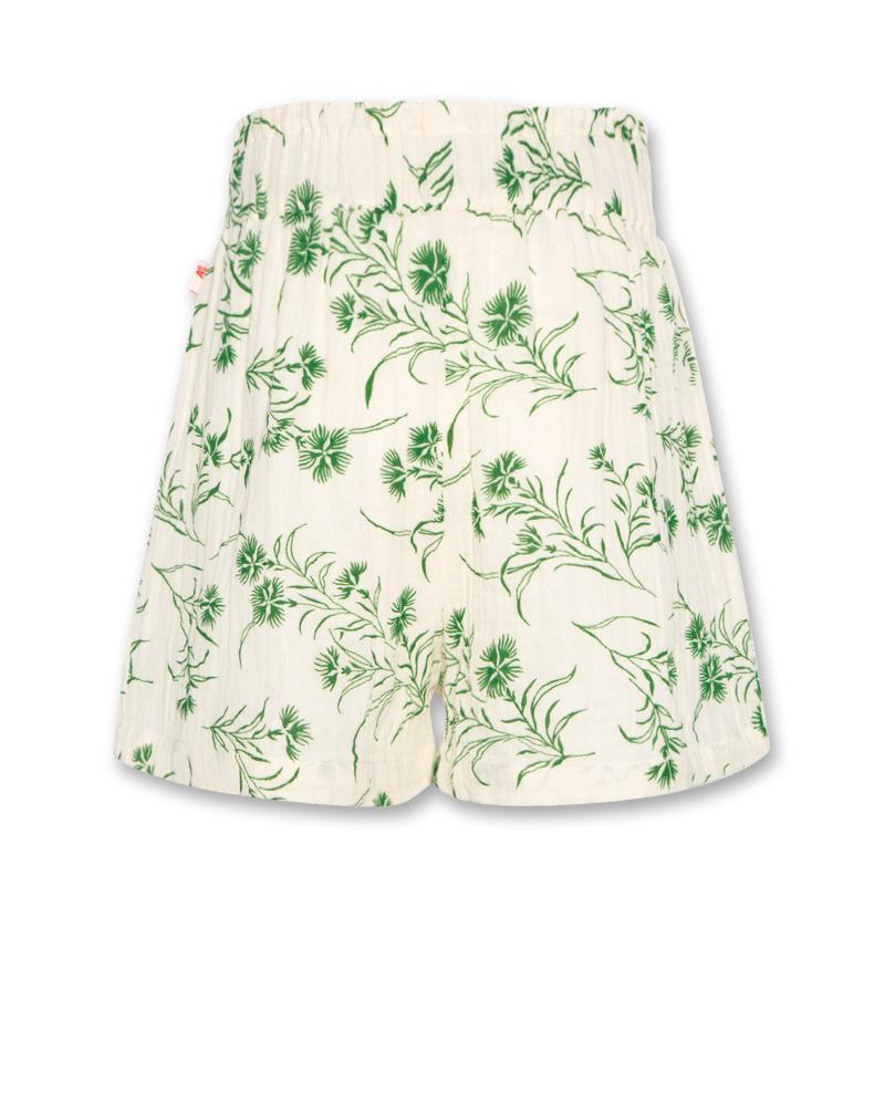Lou Green Shorts - Green
