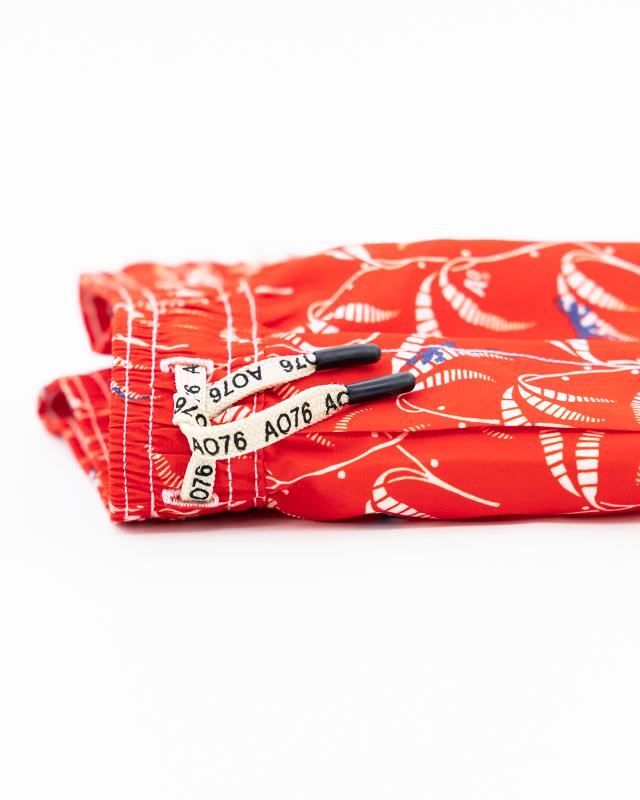 Lezard Swimshorts - Red