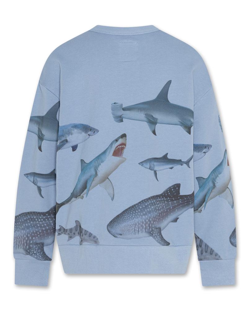 Oscar Sweater Sharks - Light Blue