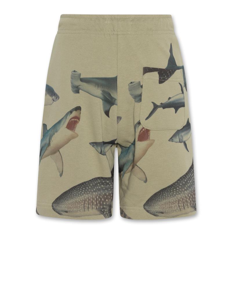 Ryan Shorts Sharks - Light Olive