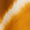Robe - Kobano - Tuscan Sun