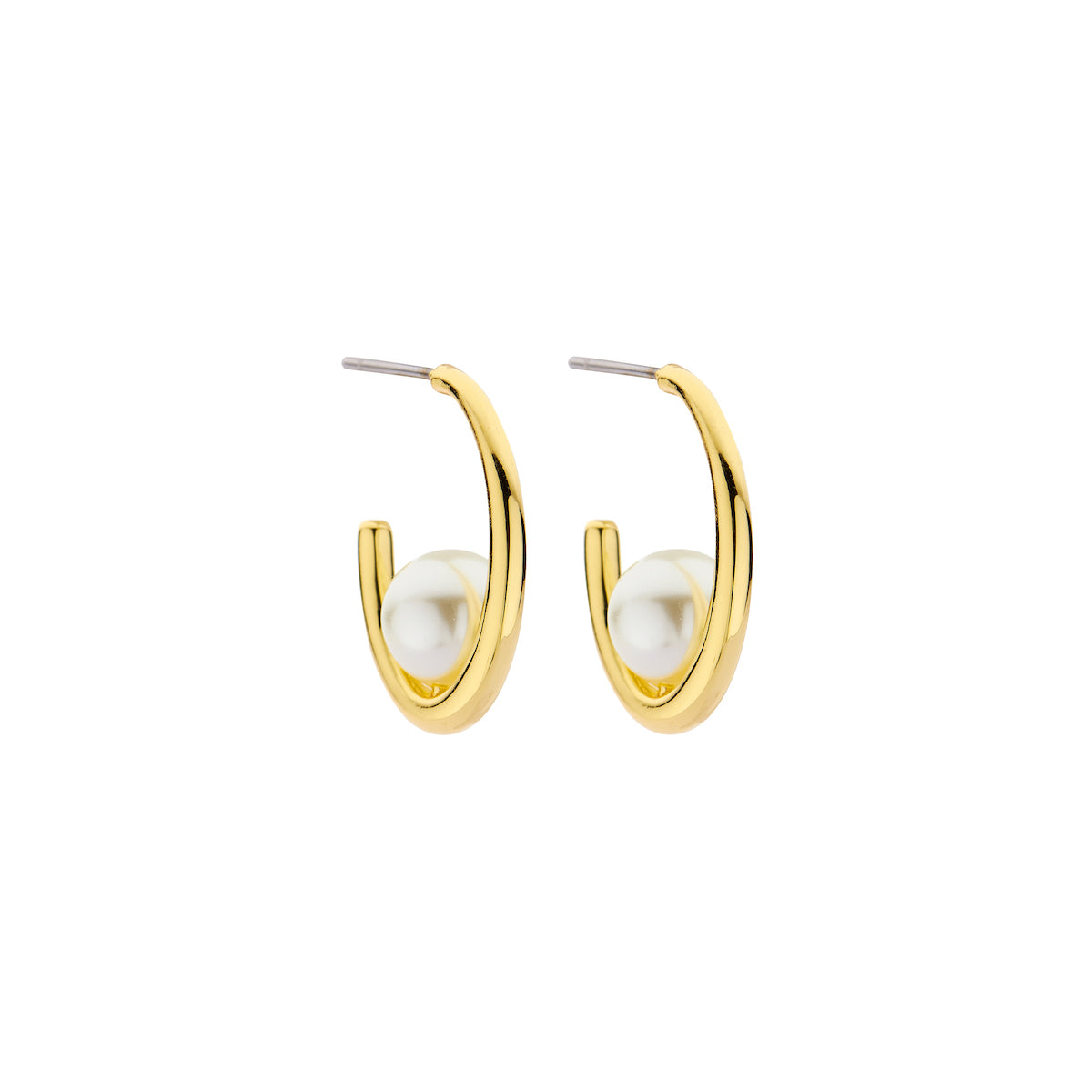 Boucles - Dob105 D'Oreilles Doré
