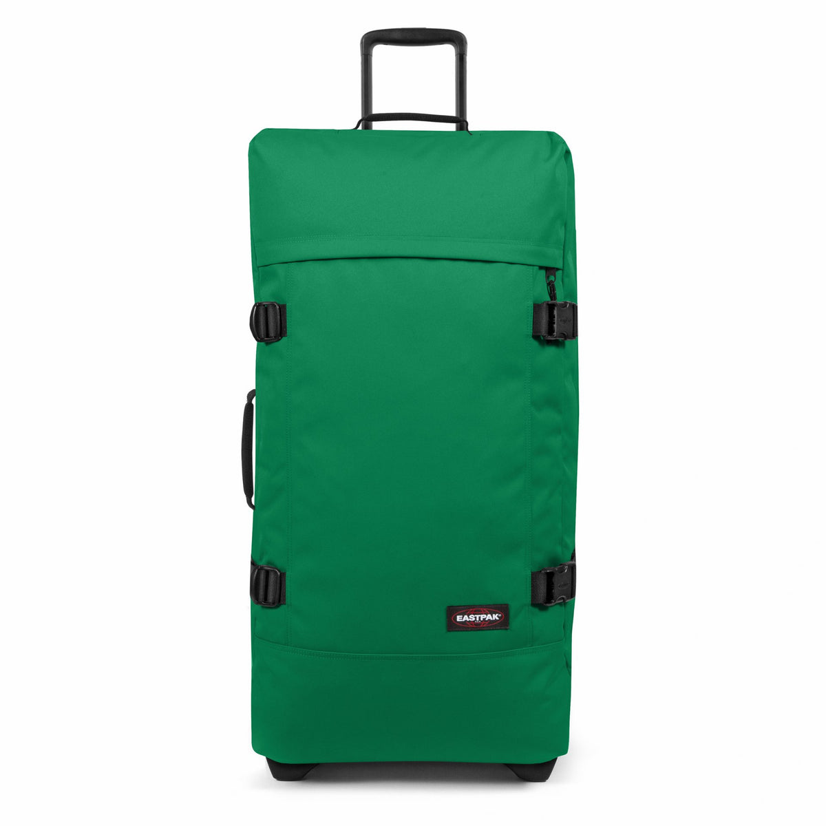 Tranverz L Green Parrot