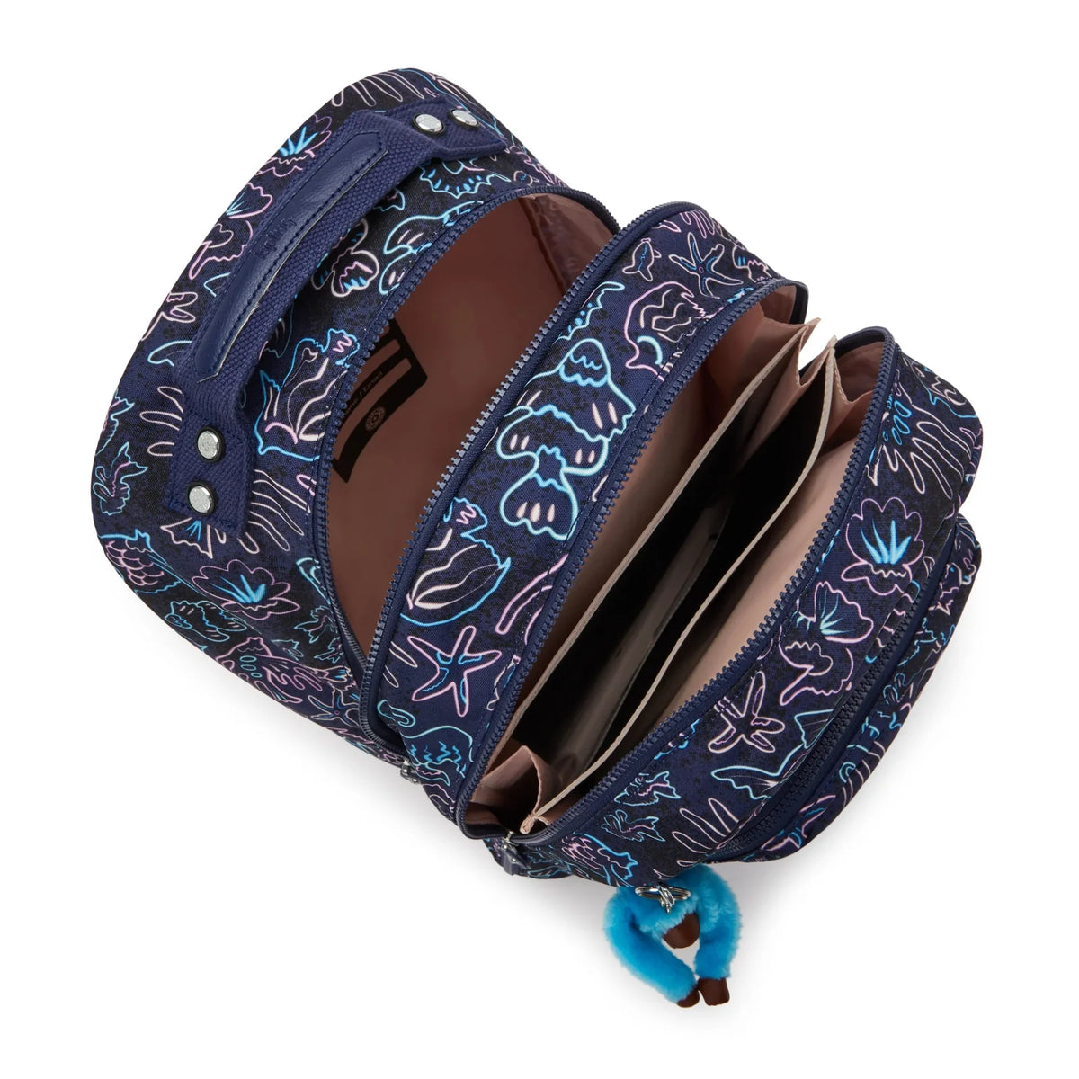 Class Room Disco Fish