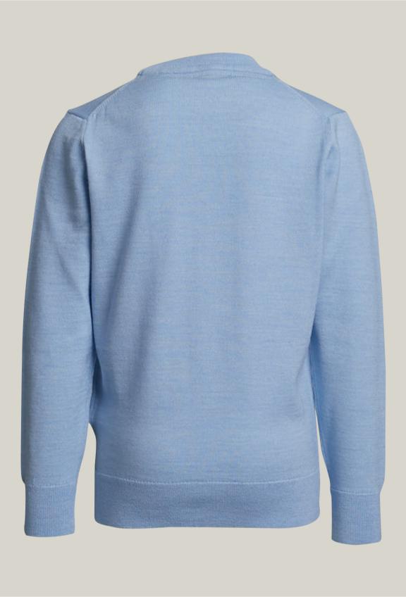 Custom Fit Crew Neck Pullover Dolphin Mix - Bleu