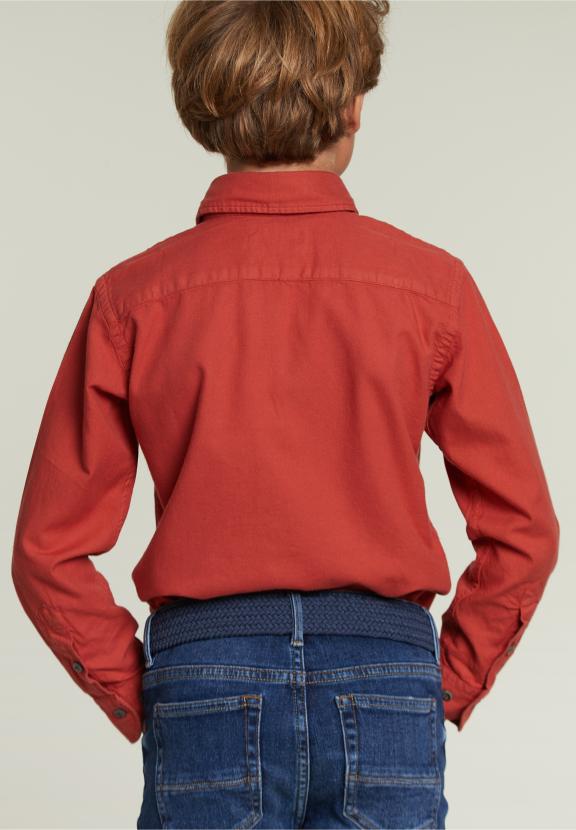 Custom Fit Cotton Shirt Blush - Rose