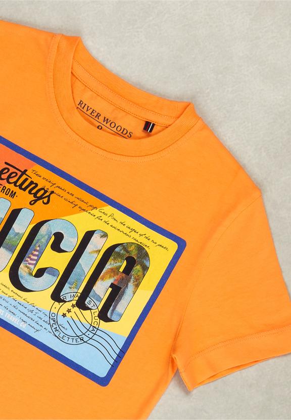 Normal Fit Basic T-Shirt In Sunrise - Orange