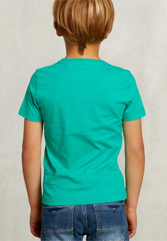 Normal Fit Basic T-Shirt In Moscow Mule - Vert