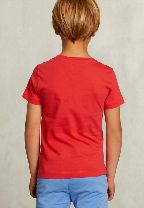 Normal Fit Basic T-Shirt In Pomegranate - Rose