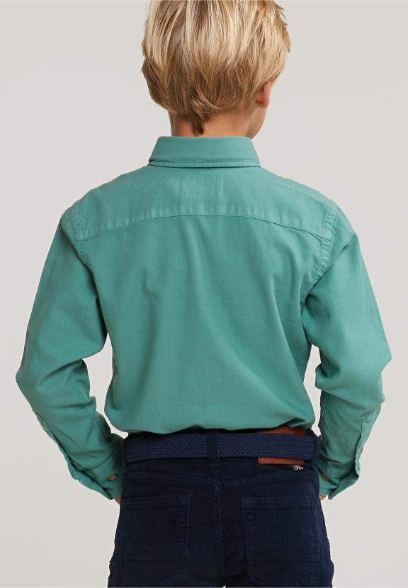 Custom Fit Cotton Shirt Newland - Vert