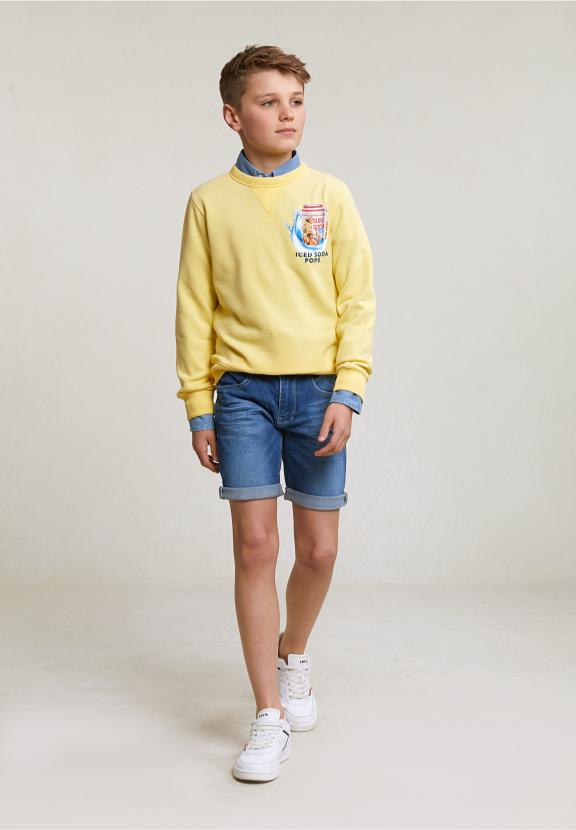 Fantasy Crew Neck Sweater Sun Flower - Jaune
