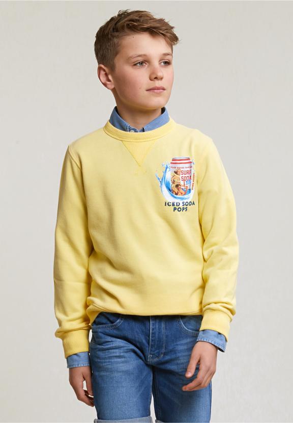 Fantasy Crew Neck Sweater Sun Flower - Jaune