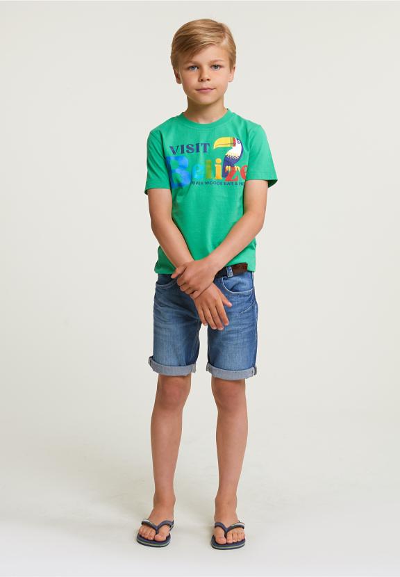 Normal Fit Basic T-Shirt Short Sleeves Apple - Vert