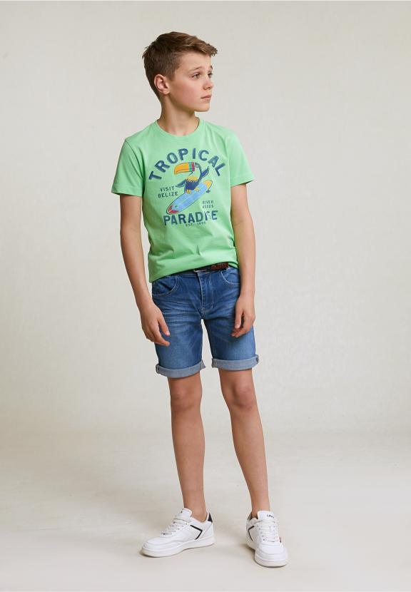 Normal Fit Basic T-Shirt Short Sleeves Mojito - Vert