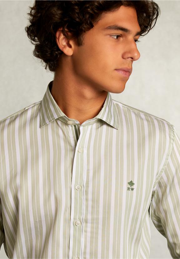 Slim Fit Striped Shirt Green/White - Vert