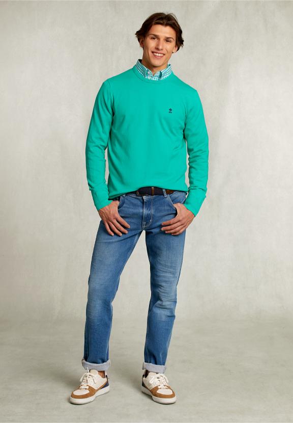 Normal Fit Basic Cotton Crew Neck Pullover Moscow Mule - Vert