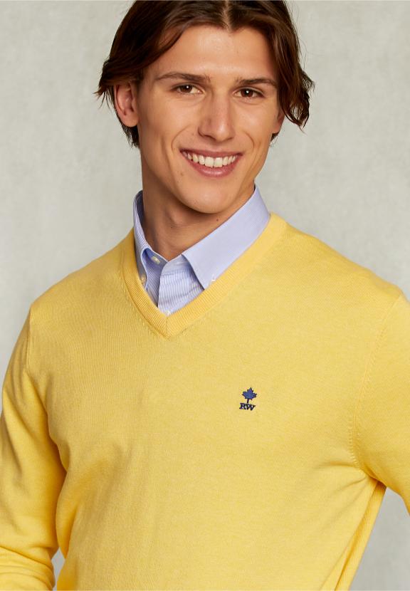 Normal Fit Basic Cotton V-Neck Pullover Butterfly Mix - Jaune