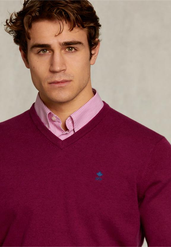 Normal Fit Basic Cotton V-Neck Pullover Cuberdon Mix - Violet