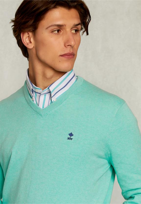 Normal Fit Basic Cotton V-Neck Pullover Gimlet Mix - Vert