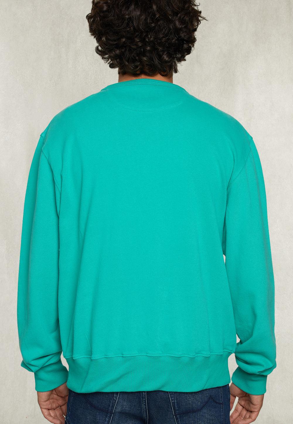 Basic Crew Neck Sweater Kiwi - Vert