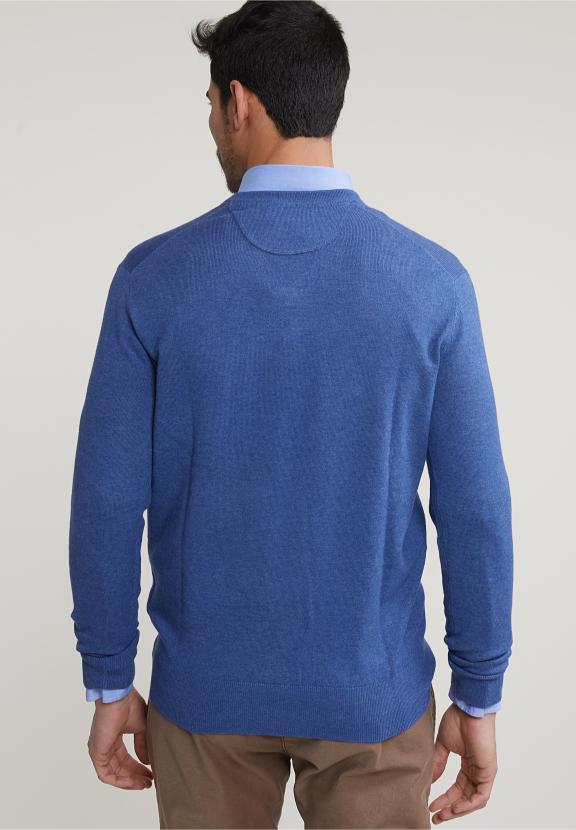 Normal Fit Basic Cotton V-Neck Sweater Wagon Blue Mix - Multi