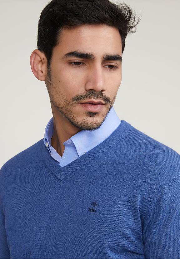 Normal Fit Basic Cotton V-Neck Sweater Wagon Blue Mix - Multi