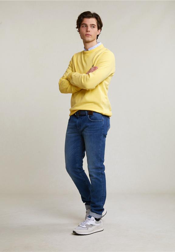 Fancy Crew Neck Sweater Sun Flower - Jaune