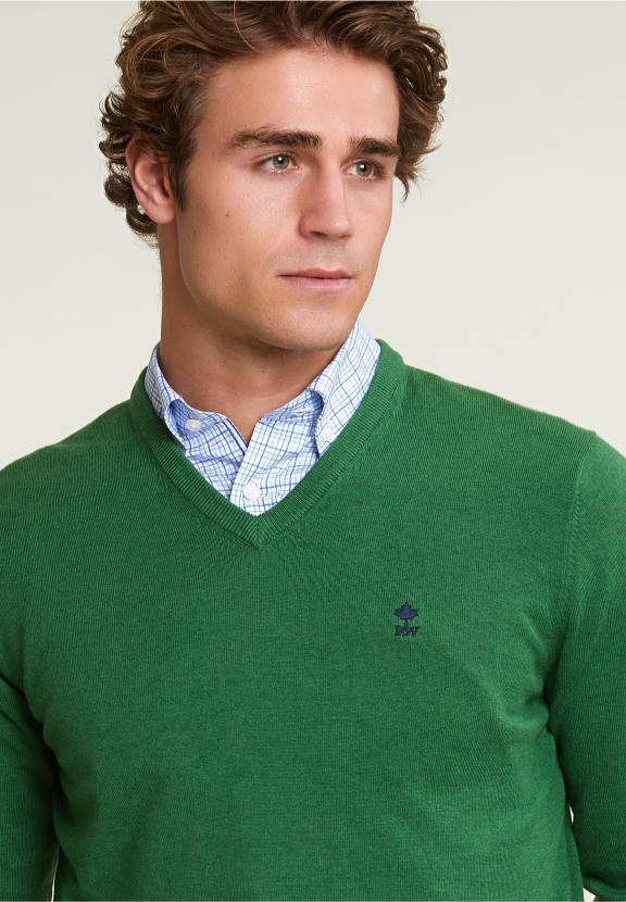 Normal Fit Basic Cotton V-Neck Pullover Belize Mix - Vert