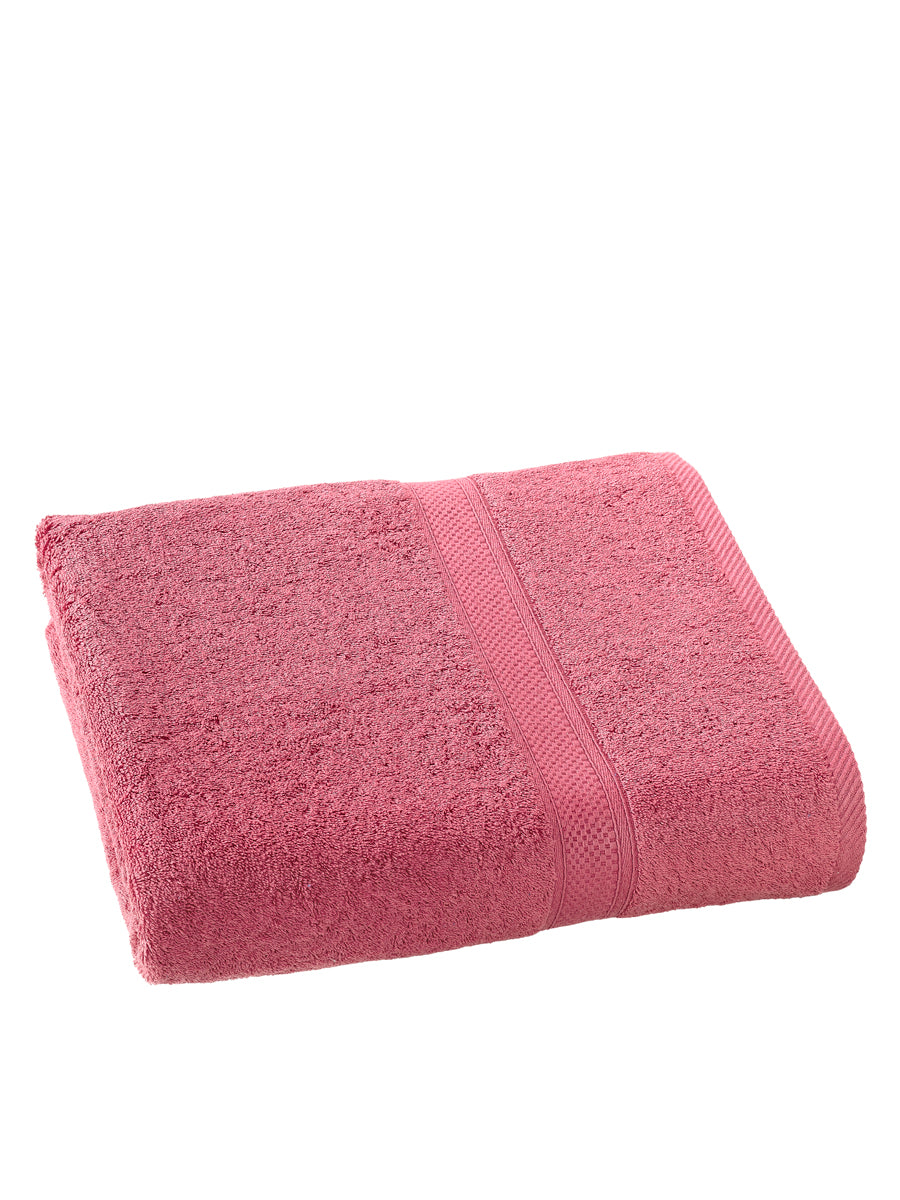 Smart Collection - Stephanie Carmine