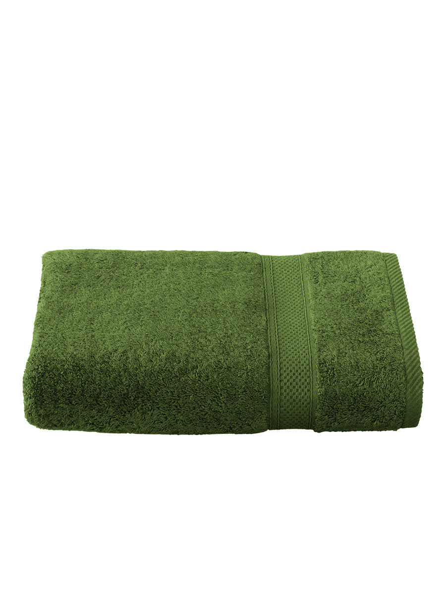 Smart Collection - Stephanie Cactus