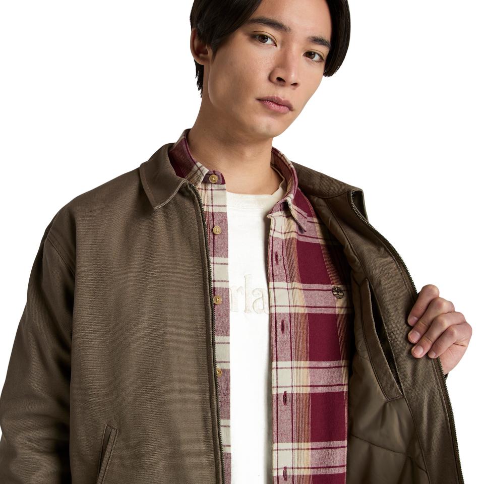 Hollis Insulated Canvas Jacket Chocolate Chip