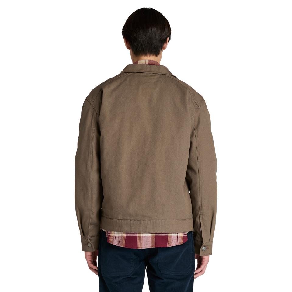 Hollis Insulated Canvas Jacket Chocolate Chip