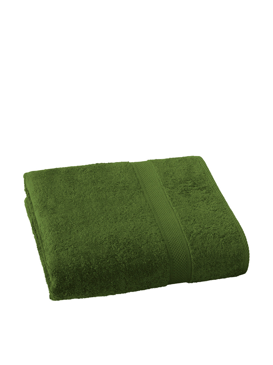 Smart Collection - Stephanie Cactus