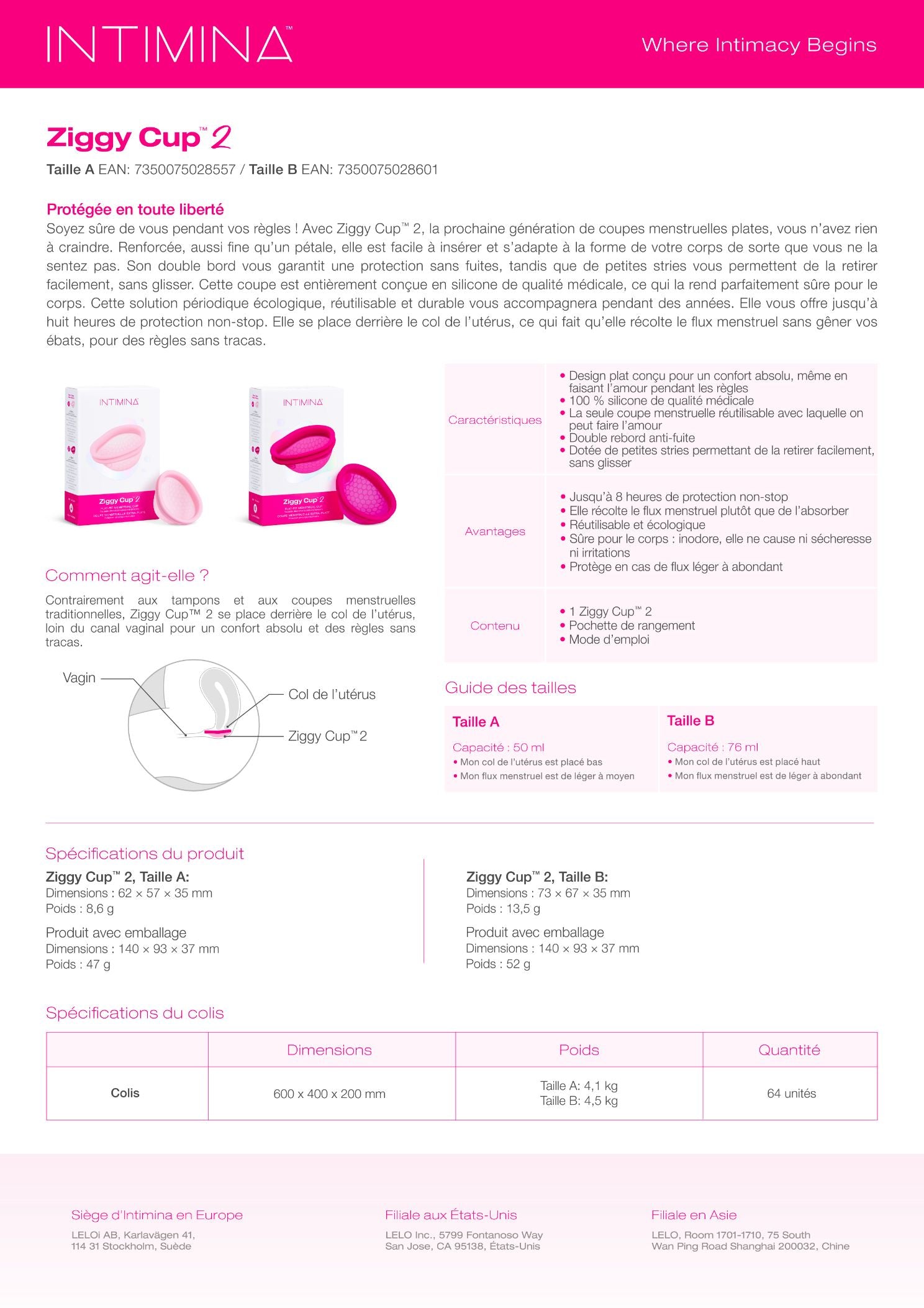 Ziggy Cup 2 Size A